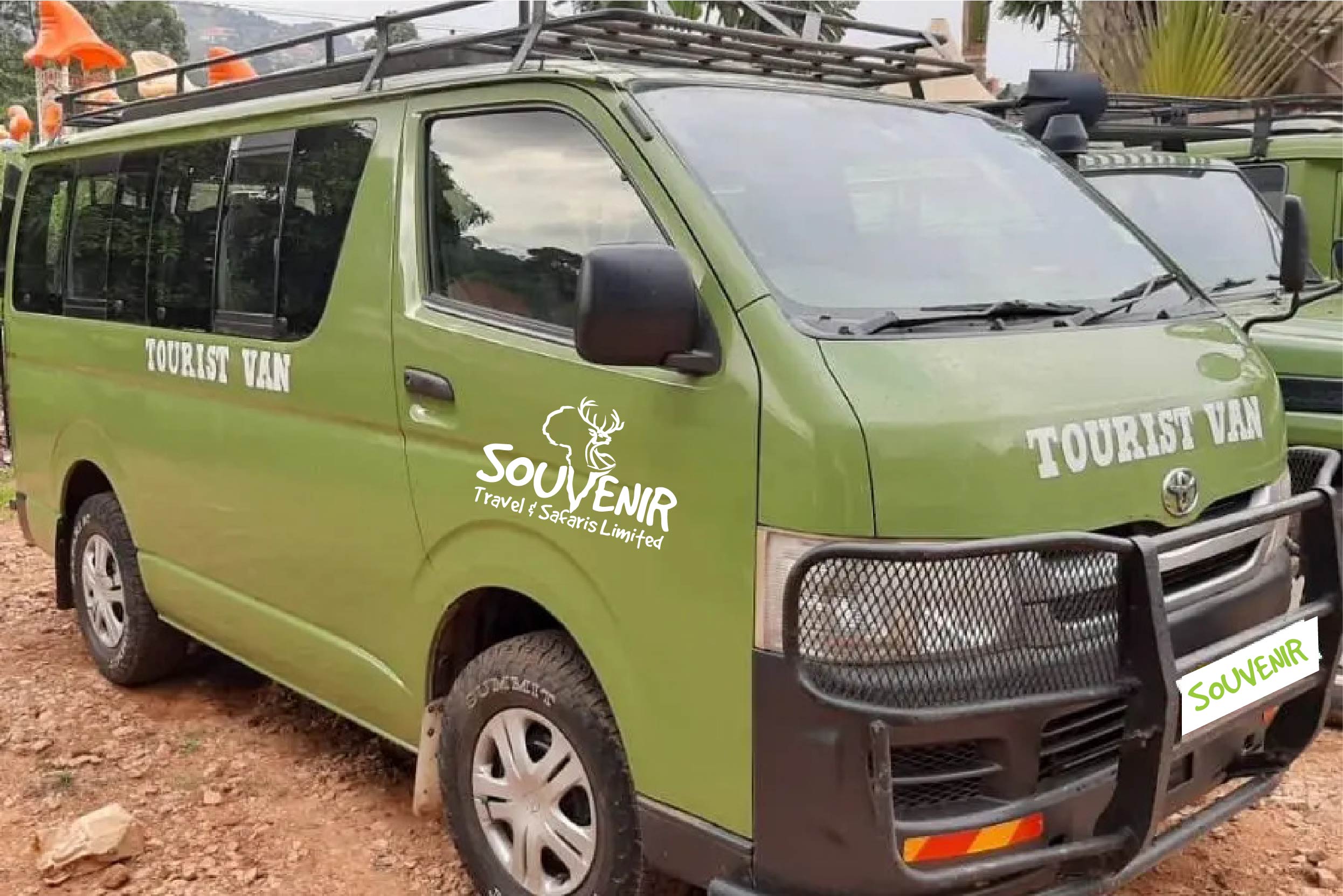 tour car hire